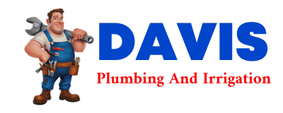 Trusted plumber in BUNCETON